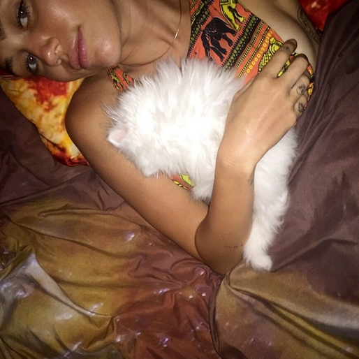 Miley Cyrus älskar att gosa med sina djur. Miley Cyrus älskar att gosa med sina djur.